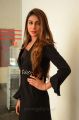 Officer Movie Actress Myra Sareen Hot Stills in Black Dress