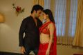 Navdeep, Sada Hot Stills in Mythili Movie