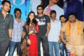 Naa Ishtam Audio Success Meet Stills