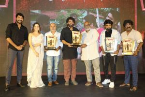 Naa Saami Ranga Movie Success Meet Stills