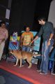 Actor Sibiraj @ Naaigal Jaakirathai Movie Press Meet Stills