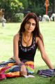 Actress Sony Charishta in Naakaithe Nachindi Telugu Movie Hot Stills