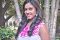 Chandini Tamilarasan @ Naan Avalai Sandhitha Pothu Movie Pooja Stills