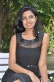 Actress Avani Modi at Naan Rajavaga Pogiren Movie Press Meet Stills