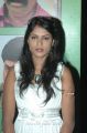 Naangam Tamilan Movie Heroine Hot Pics