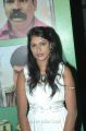 Hot Actress at Naangam Tamilan Audio Launch Photos