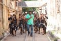 Actor Vijay Sethupathi in Naanum Rowdy Thaan Movie Stills