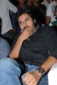 Pawan Kalyan at Naayak Movie Audio Launch Function Stills