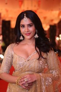 Nagabandham Movie Actress Nabha Natesh Pics