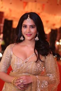 Actress Nabha Natesh Pics @ Nagabandham Movie Opening