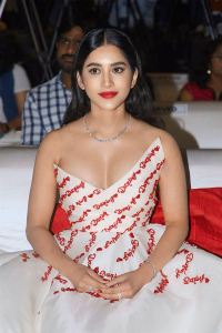 Actress Nabha Natesh New Photos @ Darling Pre Release