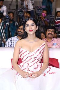 Actress Nabha Natesh New Photos @ Darling Pre Release