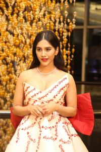 Darling Movie Heroine Nabha Natesh New Photos