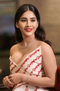 Darling Movie Actress Nabha Natesh New Photos