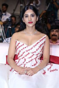 Actress Nabha Natesh New Photos @ Darling Pre Release