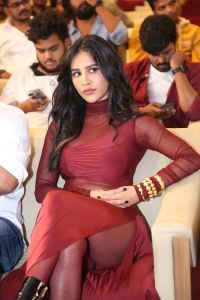 Actress Nabha Natesh Photos @ Darling Title Glimpse Launch