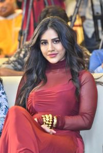 Darling Movie Actress Nabha Natesh New Photos