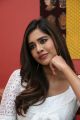 Disco Raja Movie Heroine Nabha Natesh Interview Pictures
