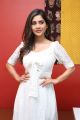 Disco Raja Movie Heroine Nabha Natesh Interview Pictures