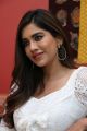 Disco Raja Movie Heroine Nabha Natesh Interview Pictures