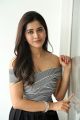 Actress Nabha Natesh Images @ Nannu Dochukunduvate Movie Interview