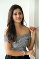 Actress Nabha Natesh Images HD @ Nannu Dochukunduvate Movie Interview