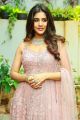 Telugu Actress Nabha Natesh Images