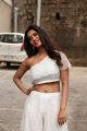 Actress Nabha Natesh Images @ iSmart Shankar Movie Interview