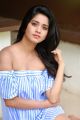 Actress Nabha Natesh Latest Pictures