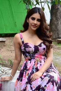 Maestro Movie Heroine Nabha Natesh Press Meet Stills