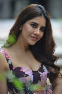 Maestro Movie Heroine Nabha Natesh Press Meet Stills