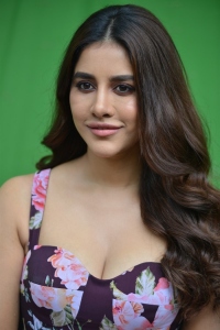 Maestro Movie Actress Nabha Natesh Press Meet Stills