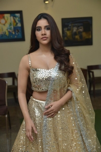 Actress Nabha Natesh Pictures @ Maestro Movie Pre Release