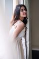 Actress Nabha Natesh New Photoshoot Images