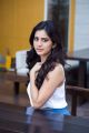 Actress Nabha Natesh Photo Shoot Images