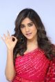 Actress Nabha Natesh Pics @ Disco Raja 3rd Song Release