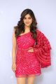 Actress Nabha Natesh New Pics @ Disco Raja 3rd Song Release