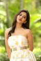 Actress Nabha Natesh Pics @ Nannu Dochukunduvate Success Meet