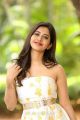 Actress Nabha Natesh Pics @ Nannu Dochukunduvate Success Meet