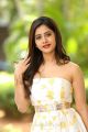 Nannu Dochukunduvate Actress Nabha Natesh Stills