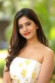 Nannu Dochukunduvate Actress Nabha Natesh Stills