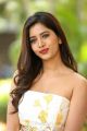 Actress Nabha Natesh Stills @ Nannu Dochukunduvate Movie Thanks Meet