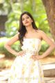 Nannu Dochukunduvate Actress Nabha Natesh Stills