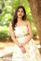 Actress Nabha Natesh Stills @ Nannu Dochukunduvate Thanks Meet