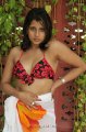 Nadeesha Hemamali Hot Bikini Stills