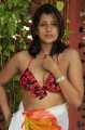 Nadeesha Hemamali Hot Bikini Stills