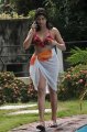 Nadeesha Hemamali Hot Bikini Stills