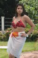 Nadeesha Hemamali Hot Bikini Stills