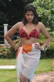 Nadeesha Hemamali Hot Bikini Stills