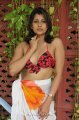 Nadeesha Hemamali Hot Bikini Stills